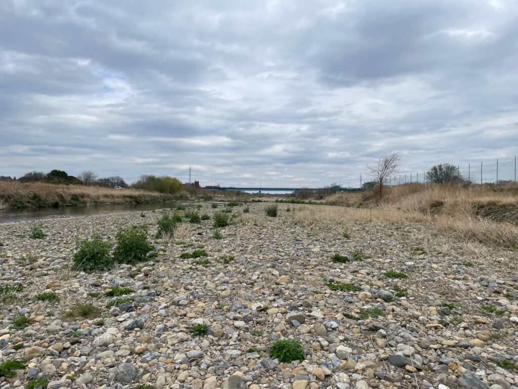 河川敷の風景